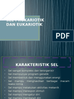 Sel Prokariotik Dan Eukariotik Untuk Belajar1