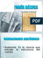 Anatomia Basica 2