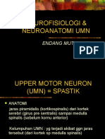 NEUROFISIOLOGI & NEUROANATOMI UMN