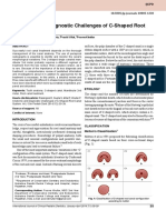 Anatomic and Diagnostic Challenges of C-Shaped Root Canal System