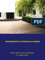 Radioimagistica Aparatului Urinar
