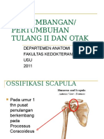 GDS1 - K5 - Tumbang Tulang II Dan Otak (Anatomi)