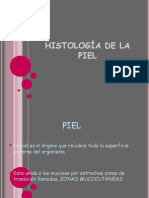 Histología de La Piel