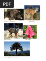 Fauna y flora del norte chico de Chile | PDF | Novela negra, policíaca ...