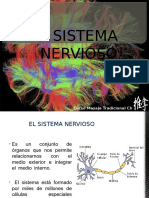 Sistema Nervioso Curso MTC