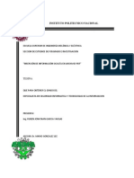 Tesina Insercion de Informacion Oculta en Archivos PDF