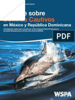 Reporte Delfines 2010.pdf