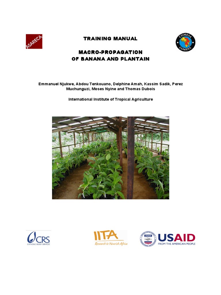 A StepbyStep Guide to MacroPropagation Techniques for Multiplication