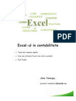 Excel-Ul in Contabilitate