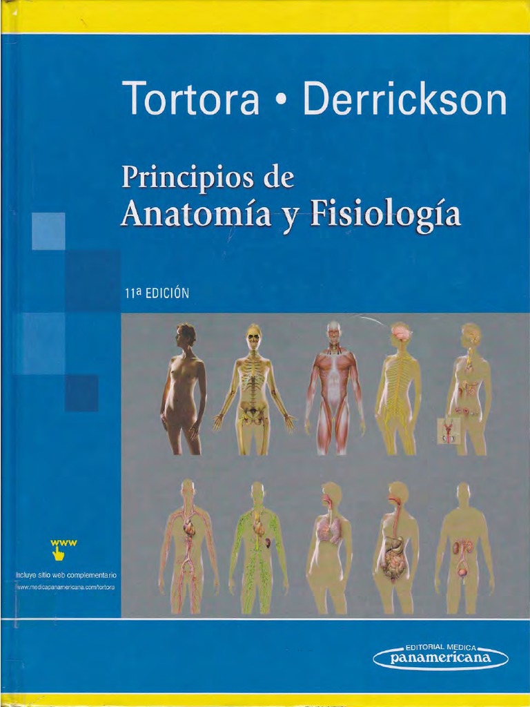 ANATOMIA PDF LIBRO visual data 6