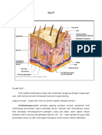 Fungsi Penting Kulit Untuk Tubuh