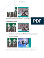 Mini Guia Musculação Exercícios Básicos