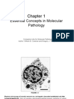 Essential Concepts in Molecular Pathology