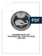 Informe Macro PVL 2006