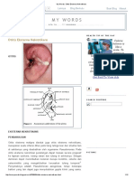 Otitis Eksterna Nekrotikans