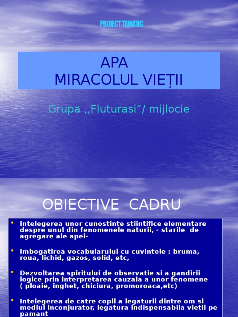 Apa Proiect Tematic | PDF
