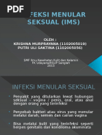 Infeksi Menular Seksual (Ims)