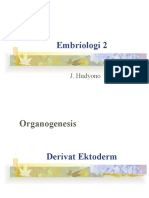 Embriologi 2