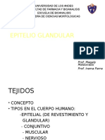 Tejido Glandular