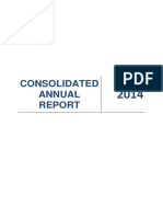 00 Raport Consolidat 2014 en Final Revizuit