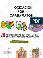 Intoxicacion Por Carbamatos