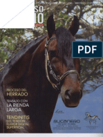 Revista Universo Equino Nº 9 Octubre-Noviembe 2009