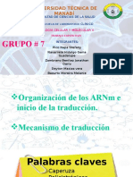 Exposicion Grupo #7 Inicio de La Traduccion / Primer Parcial