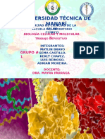 Exposición Grupo 1 VIRUS ARN Y TRANSCRIPCIÓN INVERSA / SEGUNDO PARCIAL