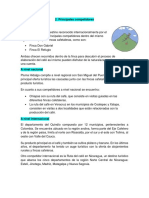 Pluma PDF