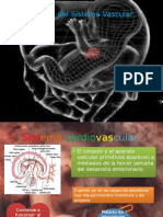 Vascular Embrio