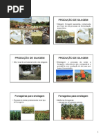 Conservação de forragens