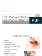 Leishmania Mexicana