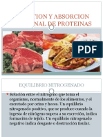 Digestion y Absorcion Intestinal de Proteinas