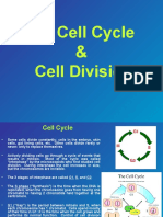 The Cell Cycle & Cell Division