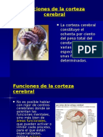 2 Funciones Corteza Cerebral