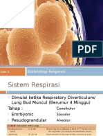 Embryology Respirasi