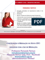 Aula 4 - Pal  14 1 2016 - Dra  Fernanda Tartuce.pdf