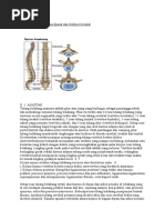 Download Penatalaksanaan Trauma Spinal dan Cedera Cervikaldocx by Marliana Pohan SN297124185 doc pdf