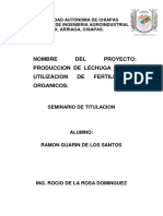 Proyecto de Lechuga PDF