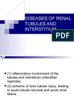 Diseases of Renal Interstitium