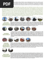 Download HAF 2015 Endangered List by alloveralbany SN297146736 doc pdf
