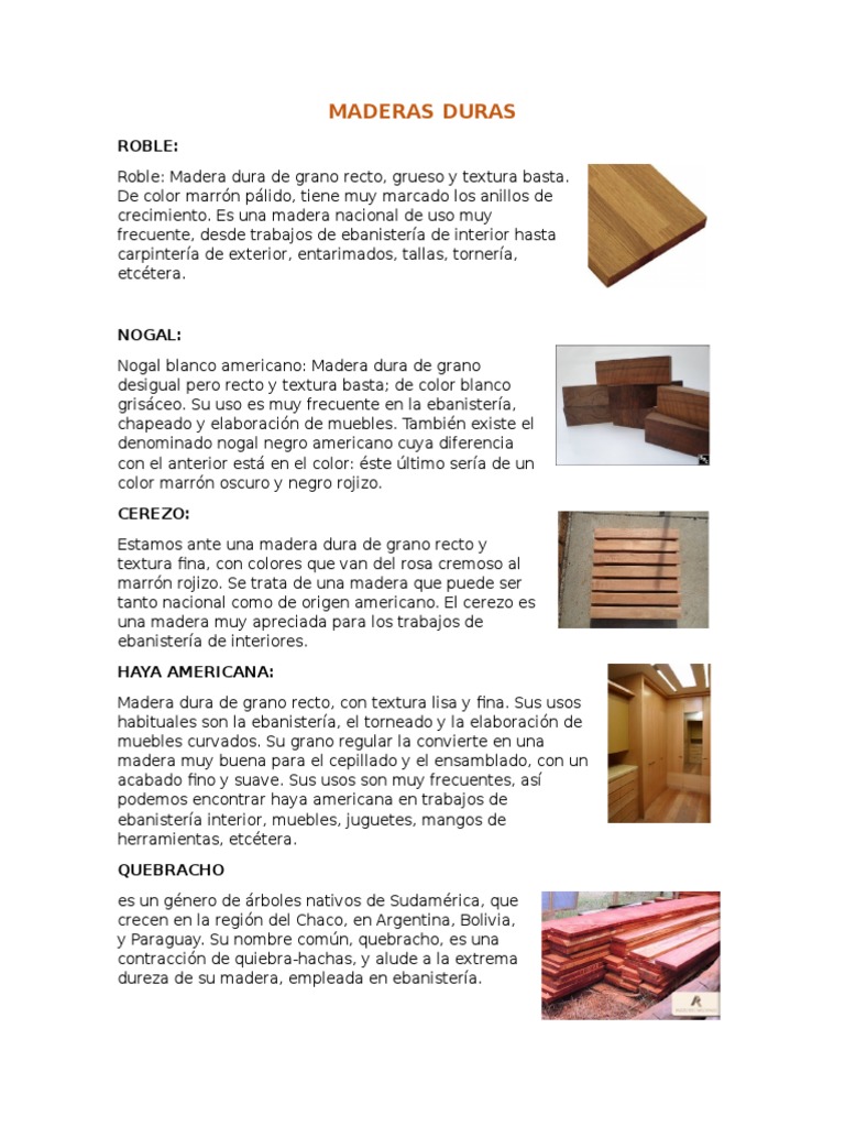 Maderas Duras Y Maderas Blandas Marron Forma De Vida Vegetal