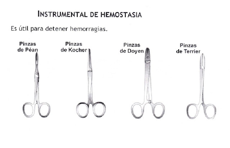 Instrumental Sujeccion