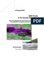 2006 Floods in The Danube River Basin WWF Working Paper