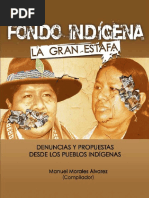 Fondo Indigena. La Gran Estafa, denuncias y propuestas desde los pueblos indigenas