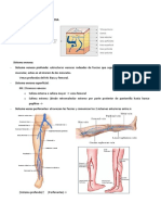 420 2014 03-20-23 Fisiopatologia Venosa