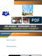 Profil Selayang Pandang Surabaya-2014