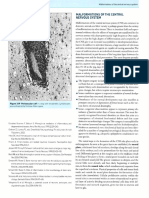 Malformations of The Central Nervous System, Pages 298-322 PDF