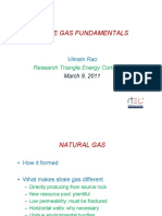 Shale Gas Fundamentals