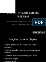 Cinesiologia Do Sistema Articular